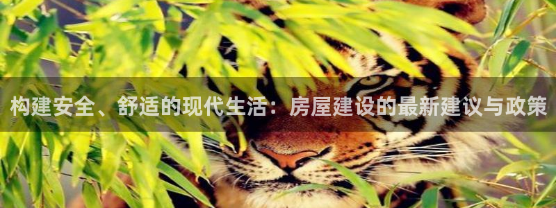 意昂3娱乐是那个系列的台子：构建安全、舒适的现代生活：房屋建设的最新建议与政策