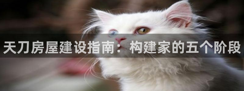 海南意昂体育3发展怎么样：天刀房屋建设指南：构建家的五个阶段